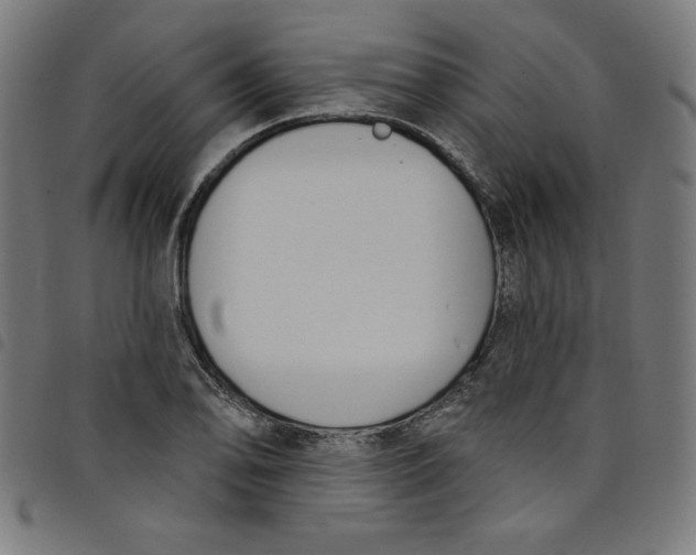 X0000098091078200804251249