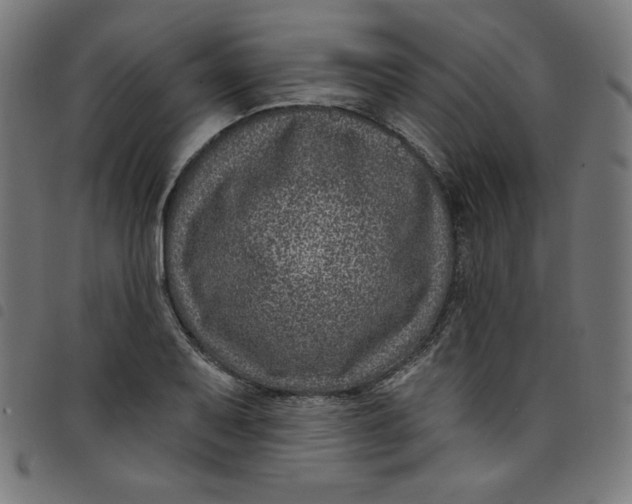 X0000098091079200804251249
