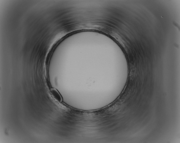 X0000098091080200804251249