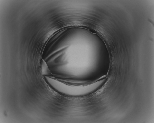 X0000098091081200804251249