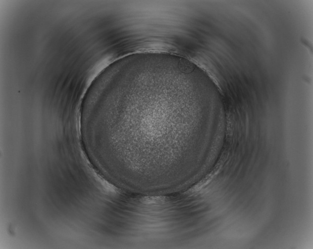 X0000098091083200804251249