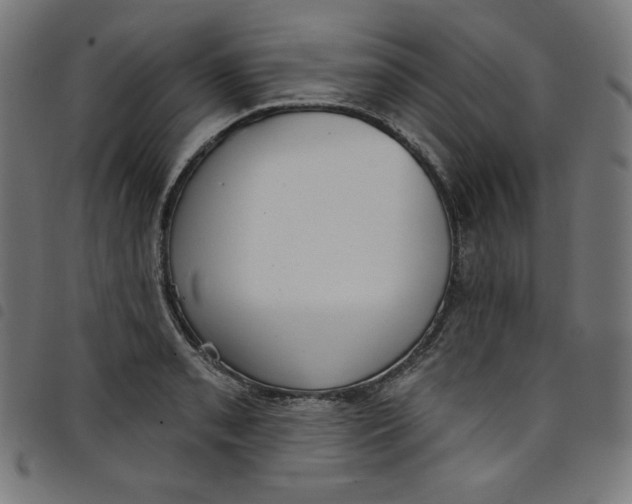 X0000098091085200804251249