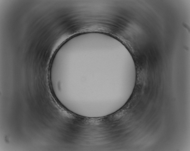 X0000098091086200804251249