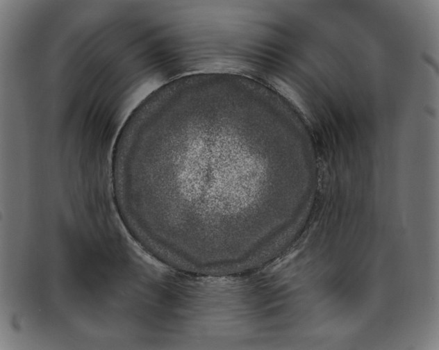 X0000098091087200804251249