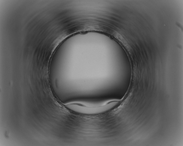 X0000098091089200804251249
