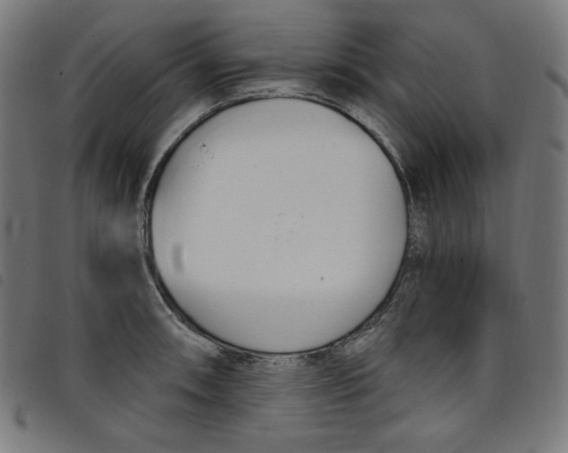 X0000098091090200804251249