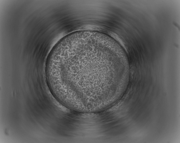 X0000098091091200804251249