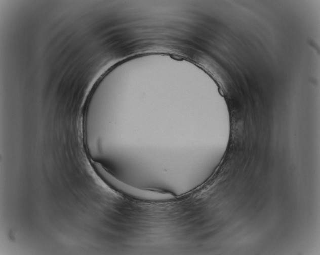 X0000098091092200804251249