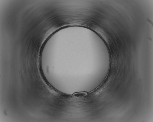 X0000098091093200804251249