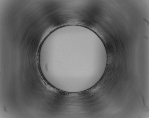 X0000098091094200804251249