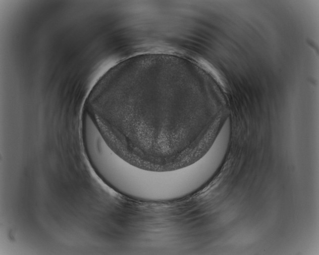 X0000098091095200804251249