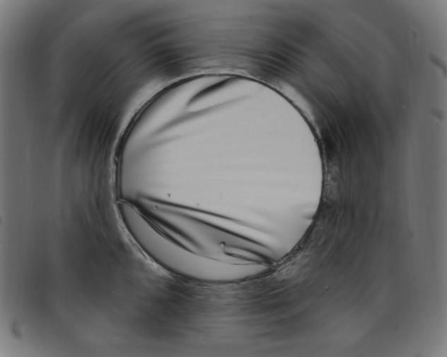X0000098091096200804251249