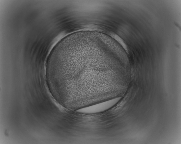 X0000098091099200804251249