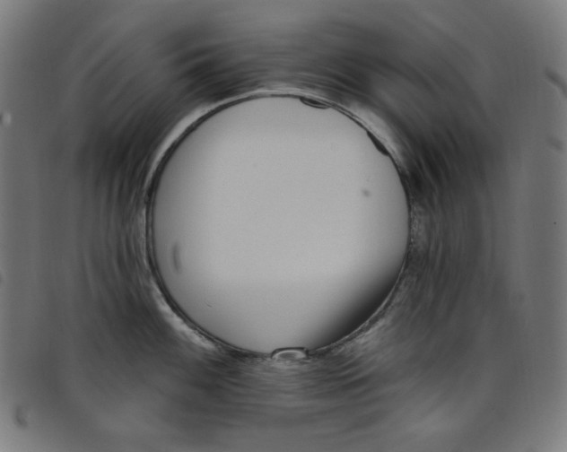 X0000098091100200804251249