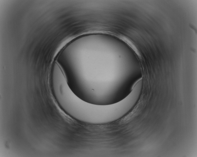 X0000098091101200804251249
