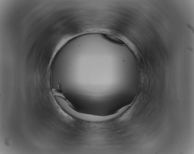 X0000098091102200804251249