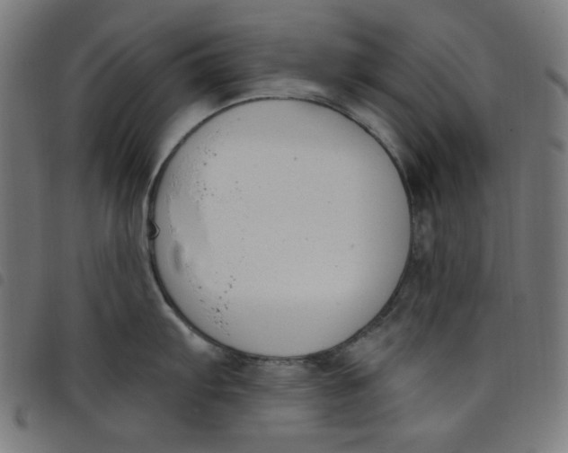 X0000098091103200804251249