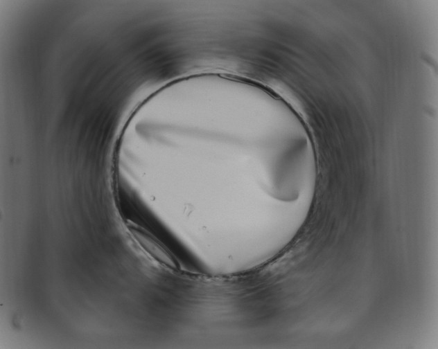 X0000098091104200804251249