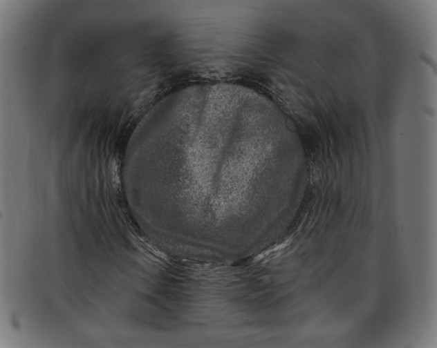 X0000098091106200804251248