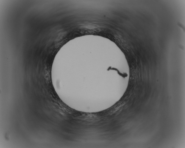 X0000098091109200804251248