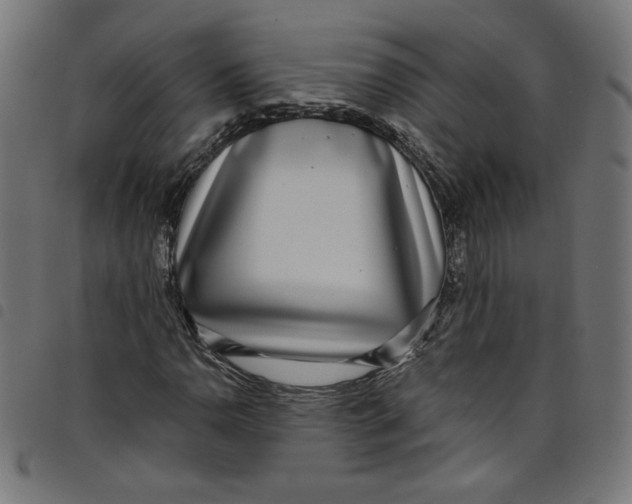 X0000098091110200804251248