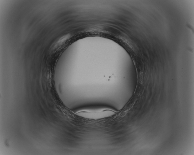 X0000098091111200804251248