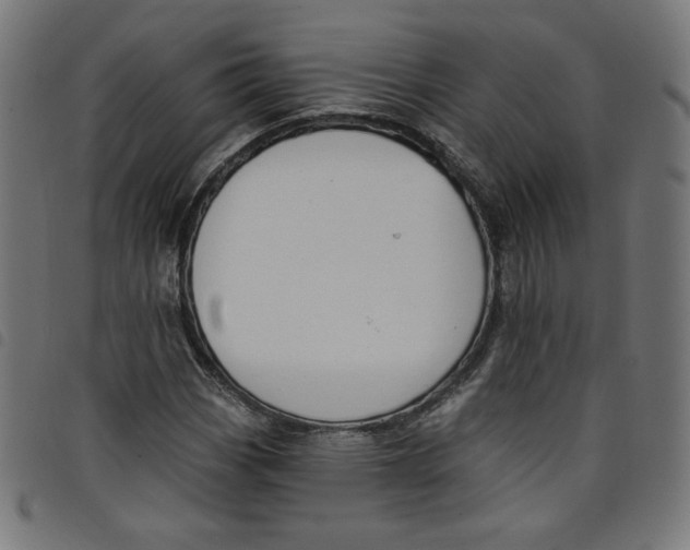 X0000098091113200804251248