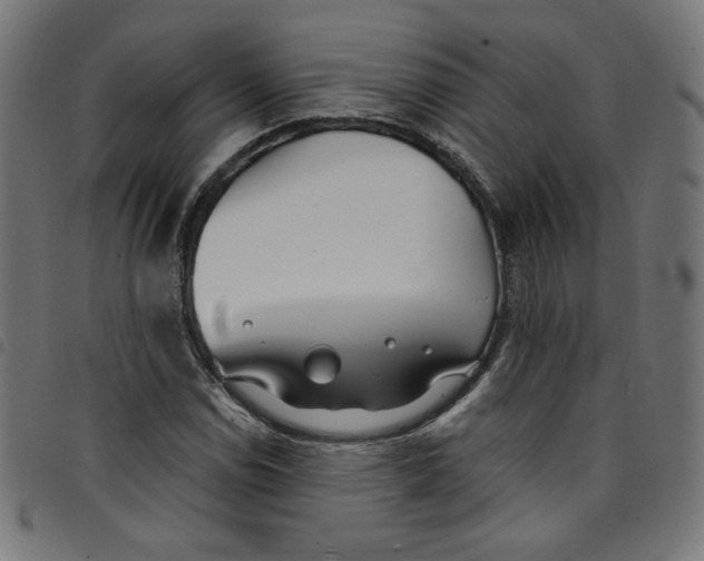 X0000098091114200804251248