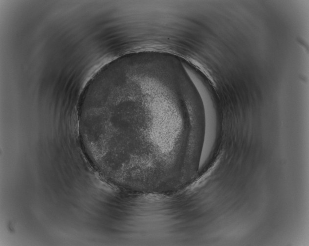 X0000098091117200804251248