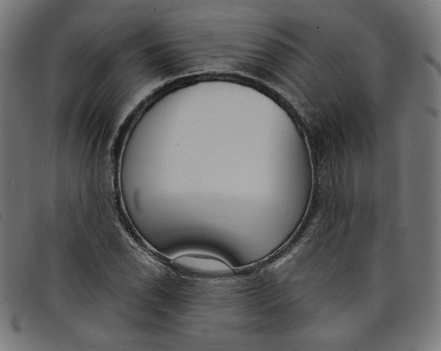 X0000098091118200804251248