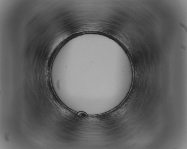 X0000098091119200804251248