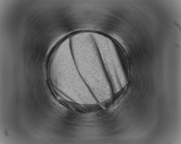 X0000098091120200804251248