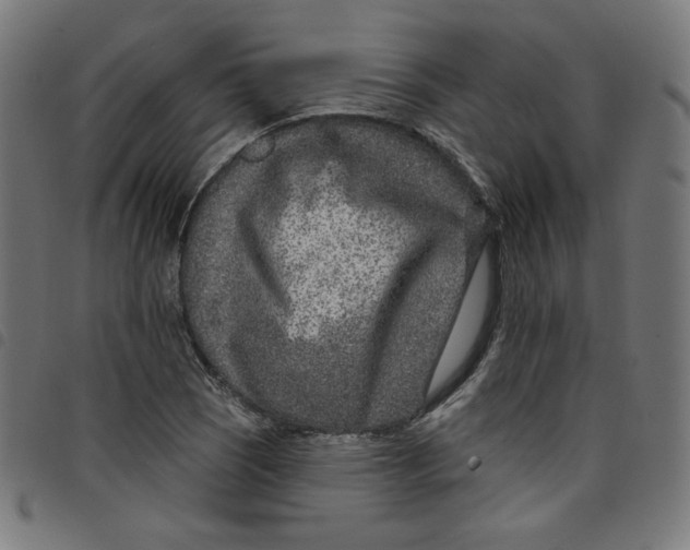 X0000098091121200804251248