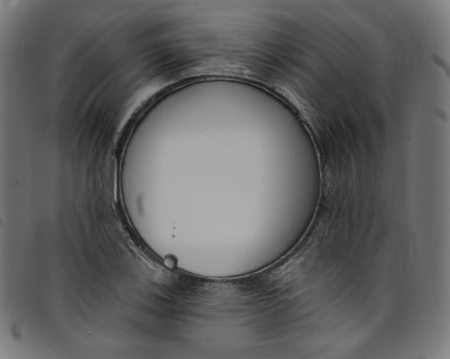 X0000098091123200804251248