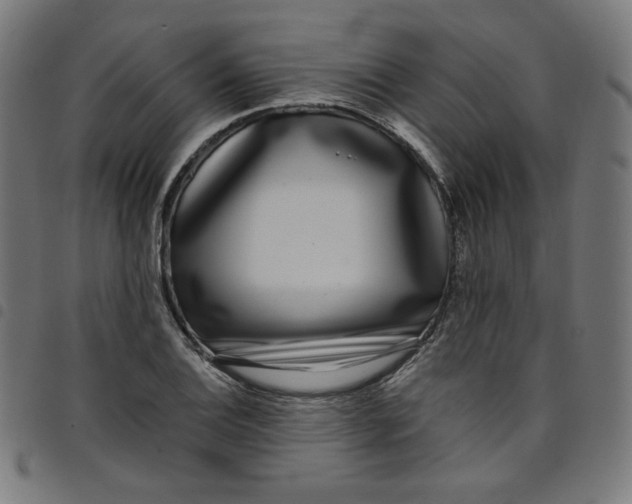 X0000098091124200804251248