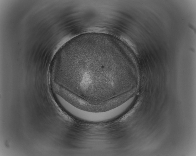 X0000098091125200804251248