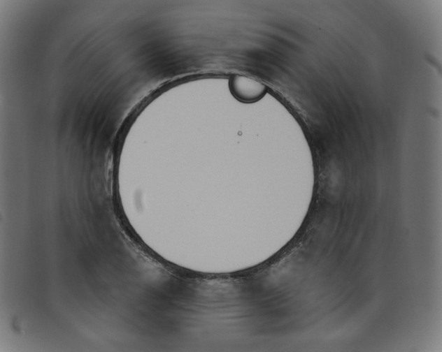 X0000098091126200804251248