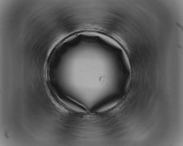 X0000098091128200804251248