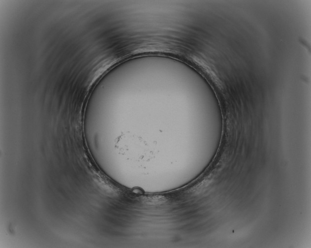 X0000098091129200804251248
