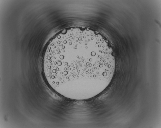 X0000098091130200804251248