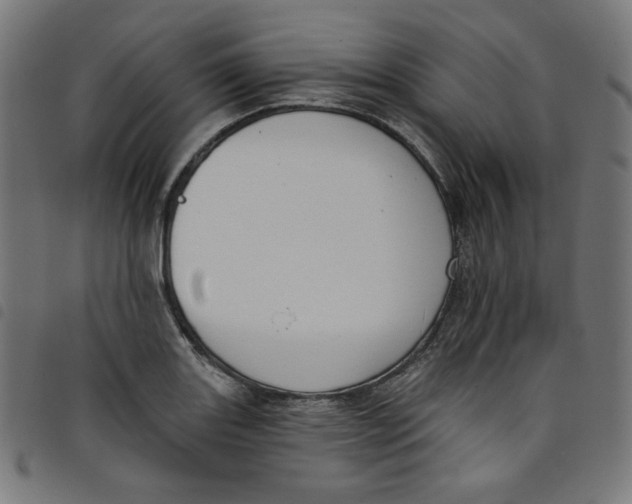 X0000098091131200804251248