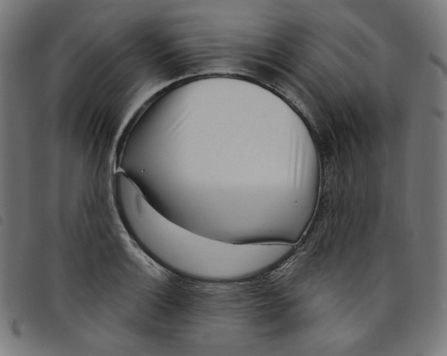 X0000098091132200804251248