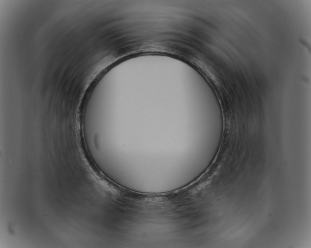 X0000098091133200804251248