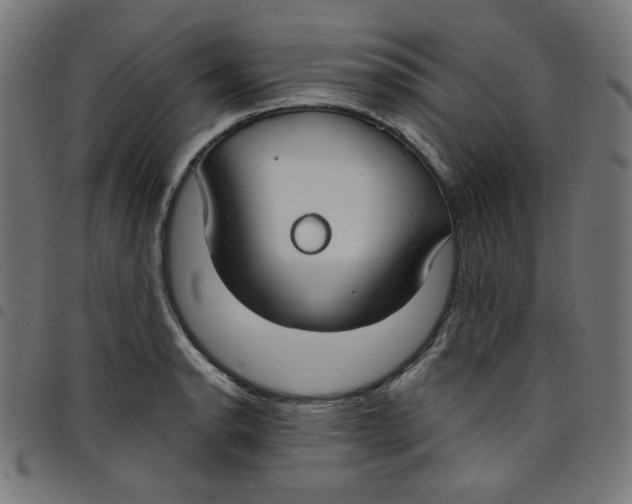 X0000098091134200804251248