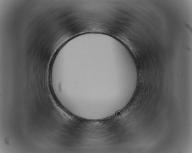 X0000098091135200804251248