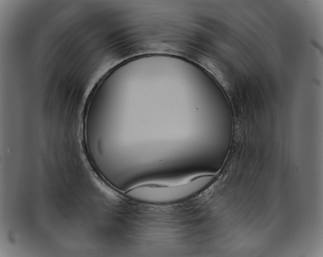 X0000098091136200804251248