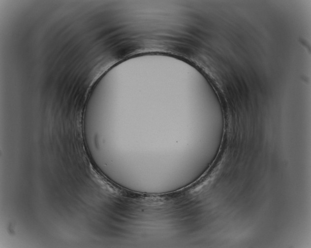 X0000098091137200804251248