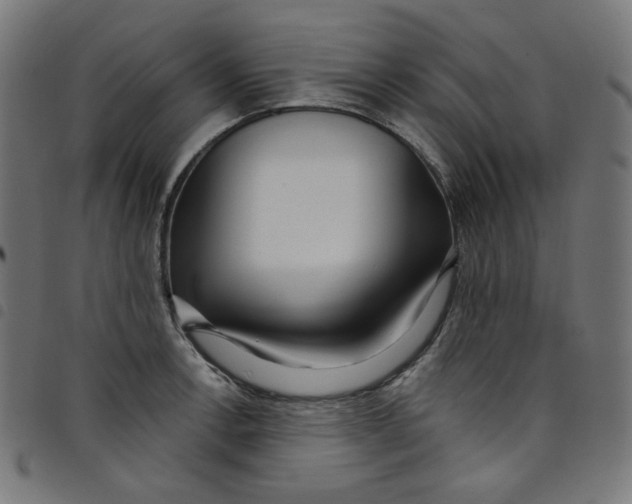 X0000098091138200804251248
