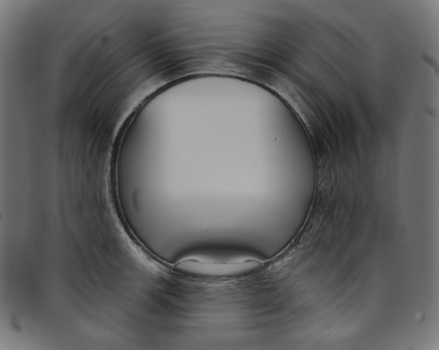 X0000098091139200804251248