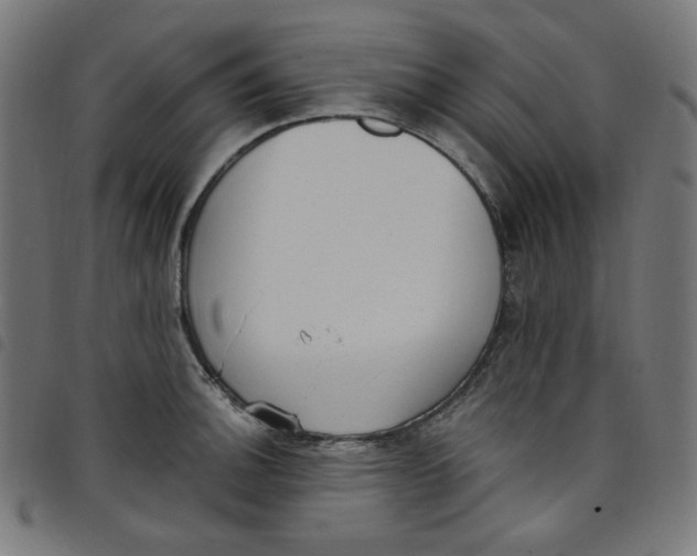X0000098091140200804251249